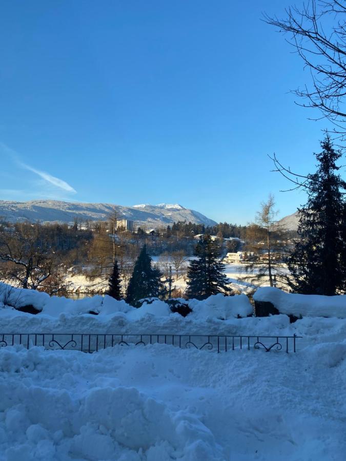 Petrabunt Villach